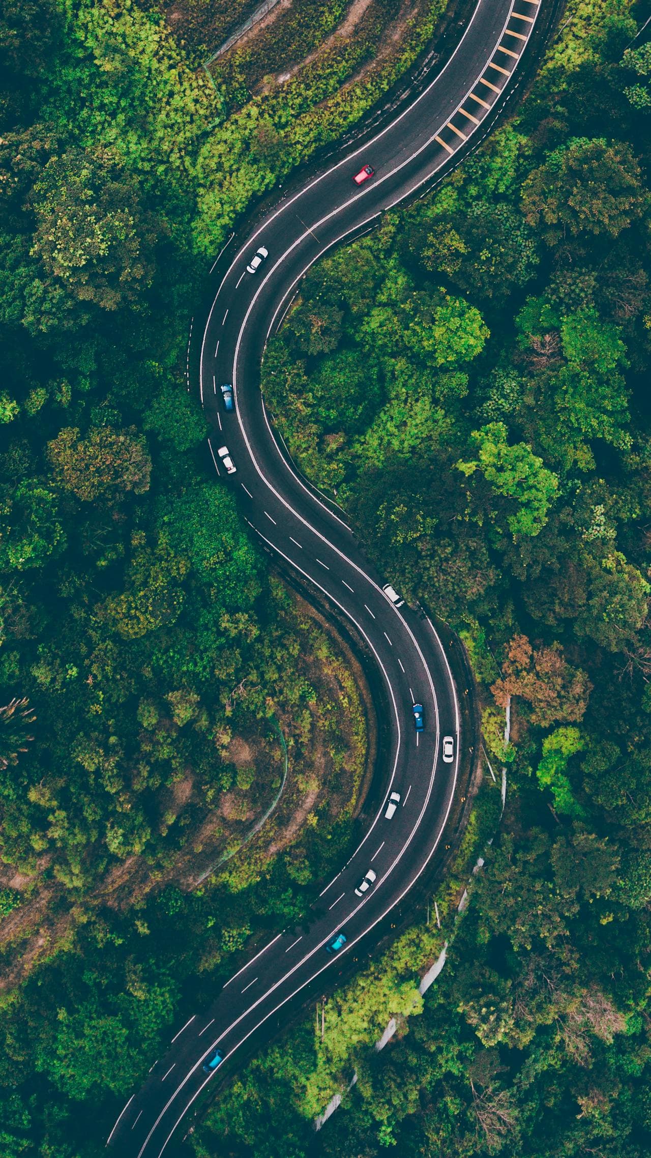 Carretera entre un bosque, símbolo de la transición hacia modelos sostenibles